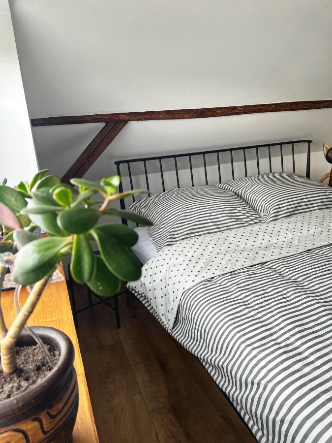 Malinowa Chatka Jankowice  Exteriör bild