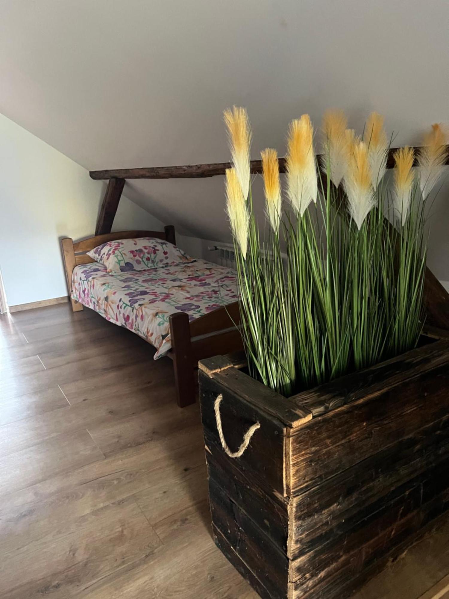 Malinowa Chatka Jankowice  Exteriör bild